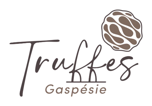 Truffes Gaspésie